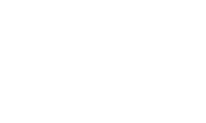 Logo Bondioli & Pavesi.